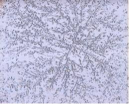 sample: water treated with Amanda Pipe Wrap