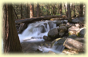 Amanda Water Vitalisers for more vitality and well-being